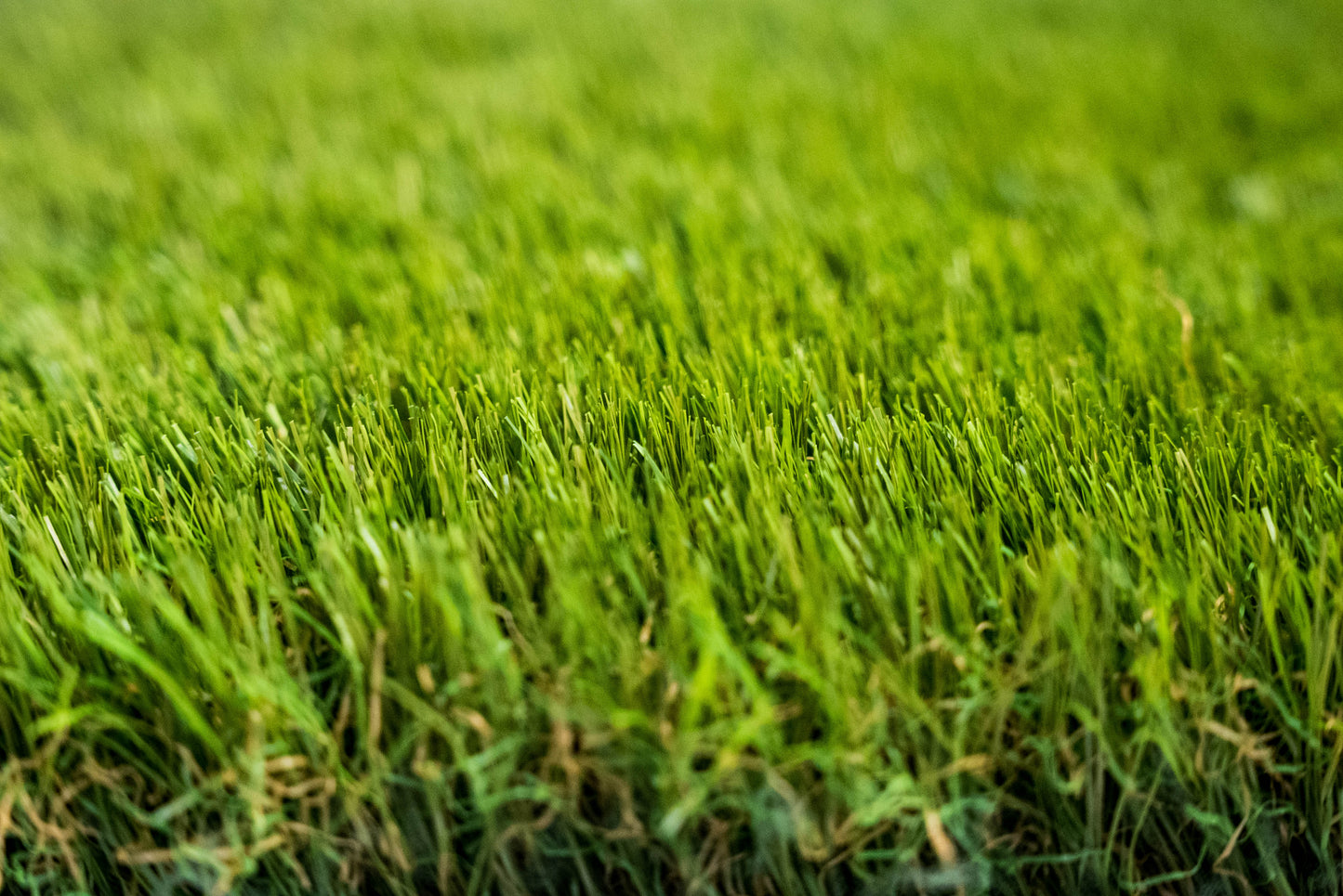 Artificial Grass