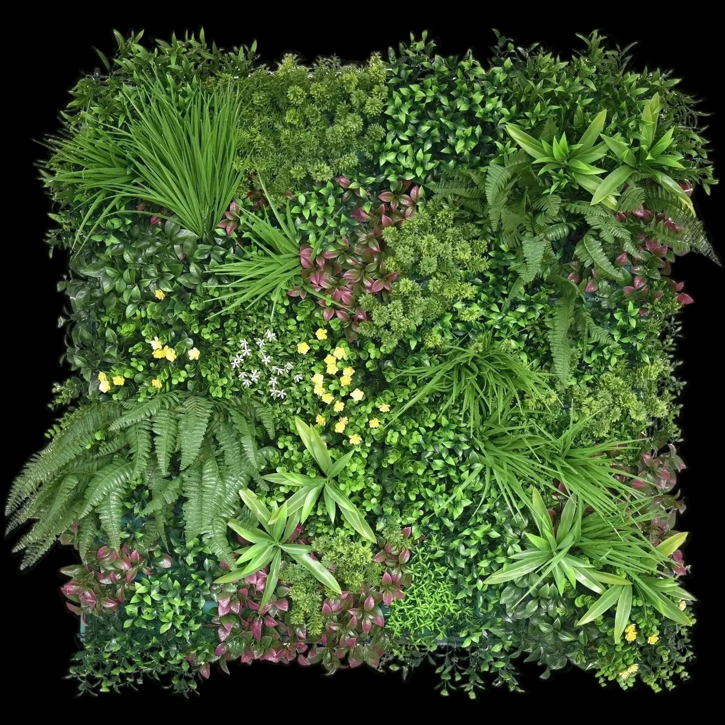 Tropical Rainforest - Artificial Green Wall